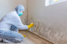 Best Post-Construction Mold Inspection  in South Amherst, OH