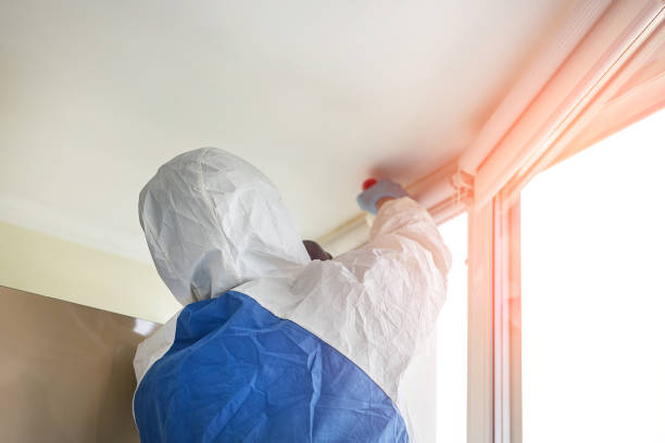 Best Mold Removal for HVAC Installations  in South Amherst, OH