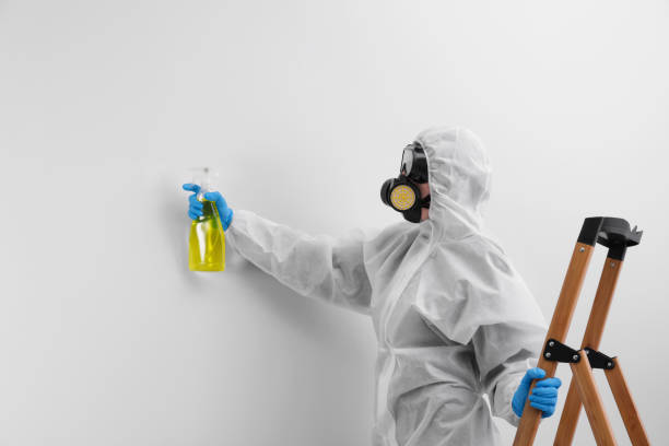 Best Asbestos and Lead Testing During Mold Inspection  in South Amherst, OH